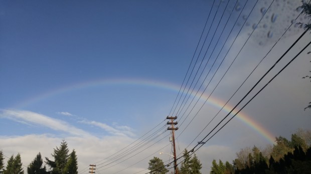 20160310_rainrainbow