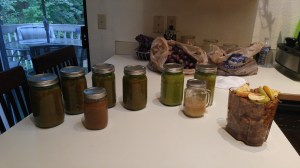 20160828_ApplePicking&Juicing (1)