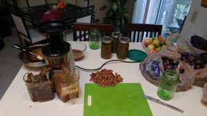 20160828_ApplePicking&Juicing (5)